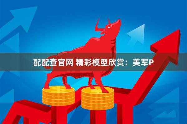 配配查官网 精彩模型欣赏：美军P